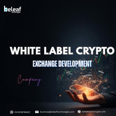 Services | Crypto Startup Development Service by Beleaf Technologies